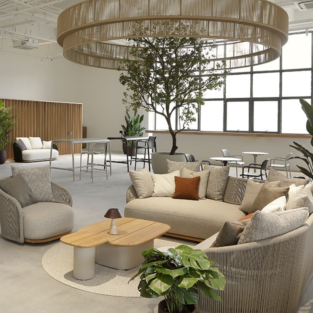 Discover the Wave Collection