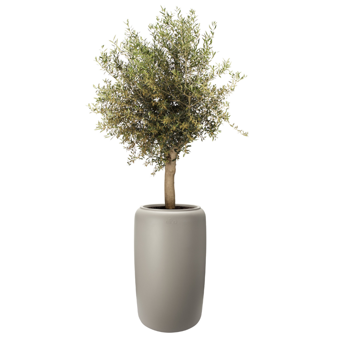 Amber Beads Planter - Balanced Beige | PREORDER OCTOBER