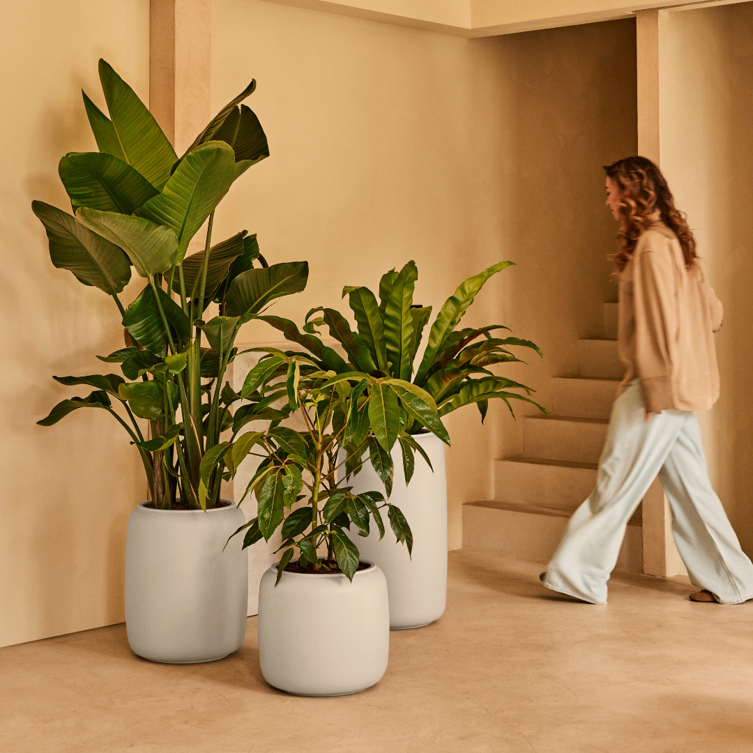 Amber Beads Planter - Linen White | PREORDER OCTOBER