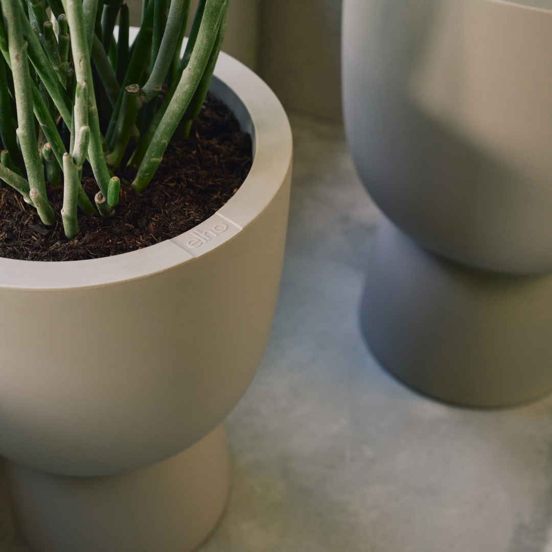Amber Coupe Planter - Balanced Beige | PREORDER OCTOBER