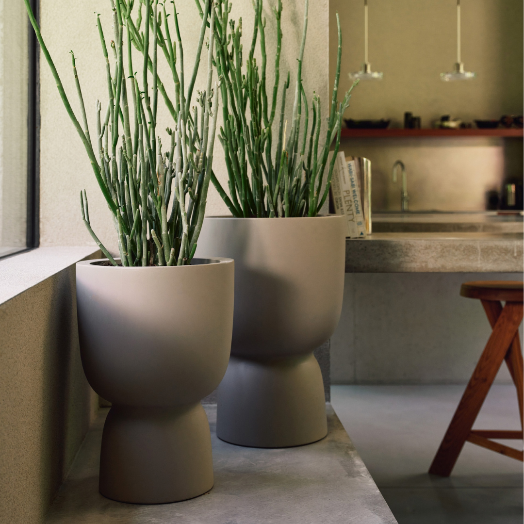 Amber Coupe Planter - Balanced Beige | PREORDER OCTOBER