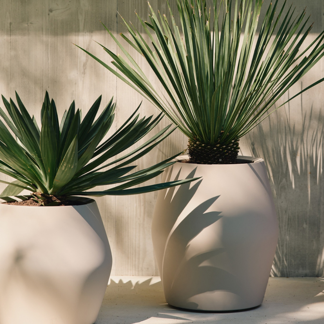 June Split Planter - Linen White | PREORDER OCTOBER