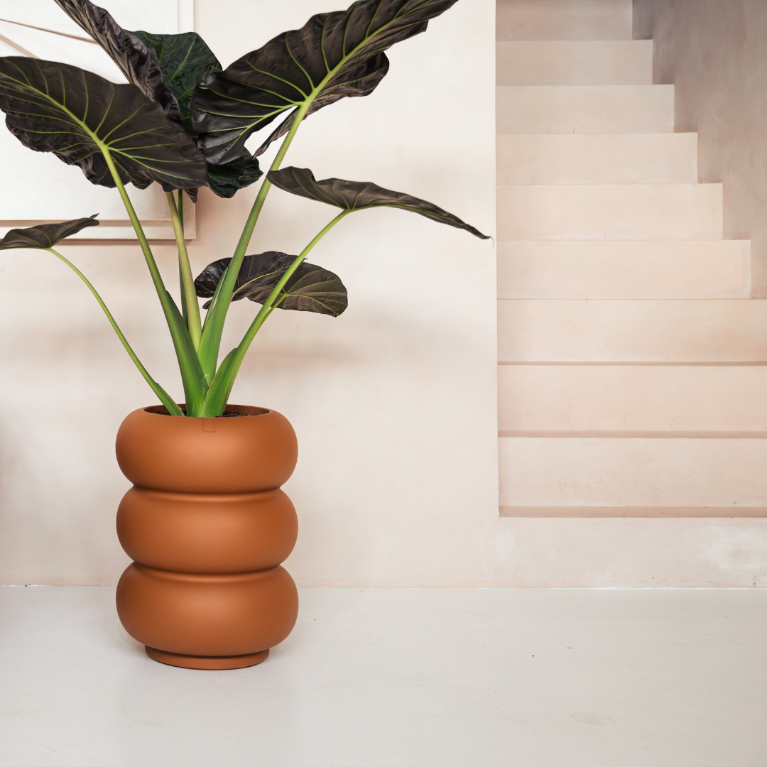 Amber Roll Planter - Caramel | PREORDER OCTOBER