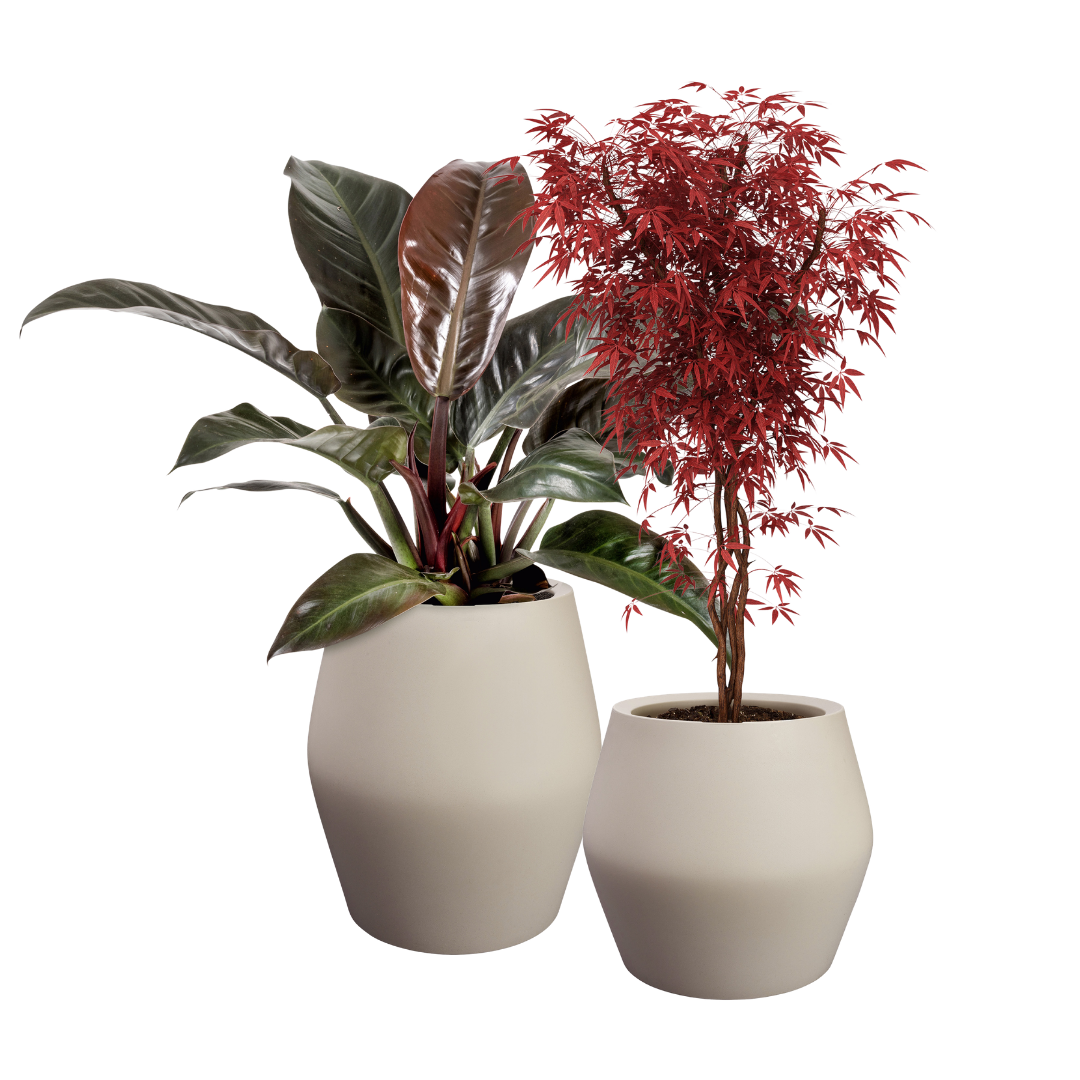 June Split Planter - Balanced Beige | PREORDER OCTOBER