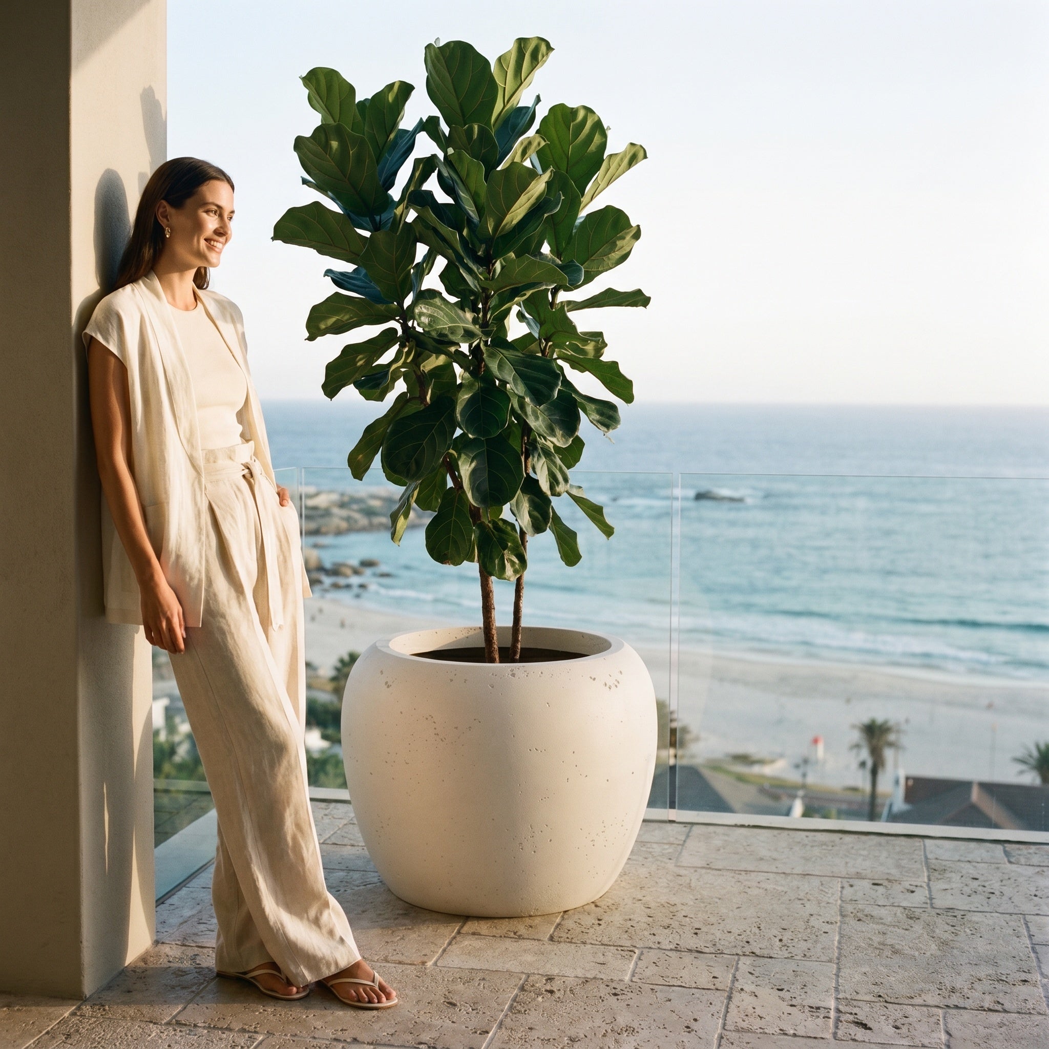 Calix Low Planter - Urban White Asparagus | PREORDER AUGUST