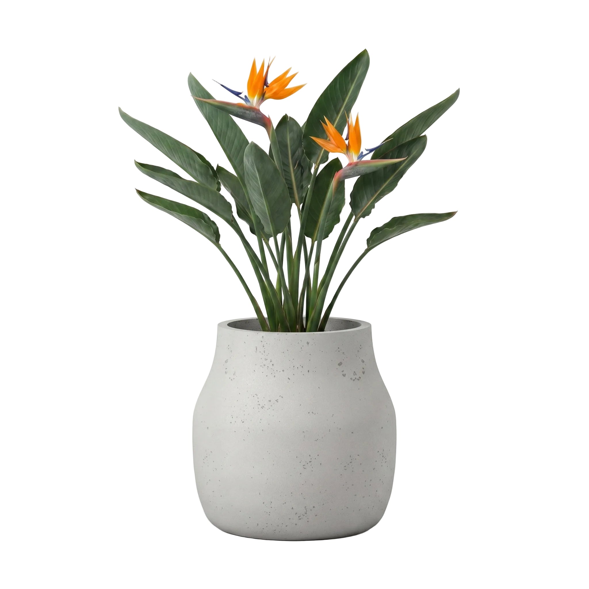 Caneco Planter - Urban Sandstone | PREORDER SEPTEMBER