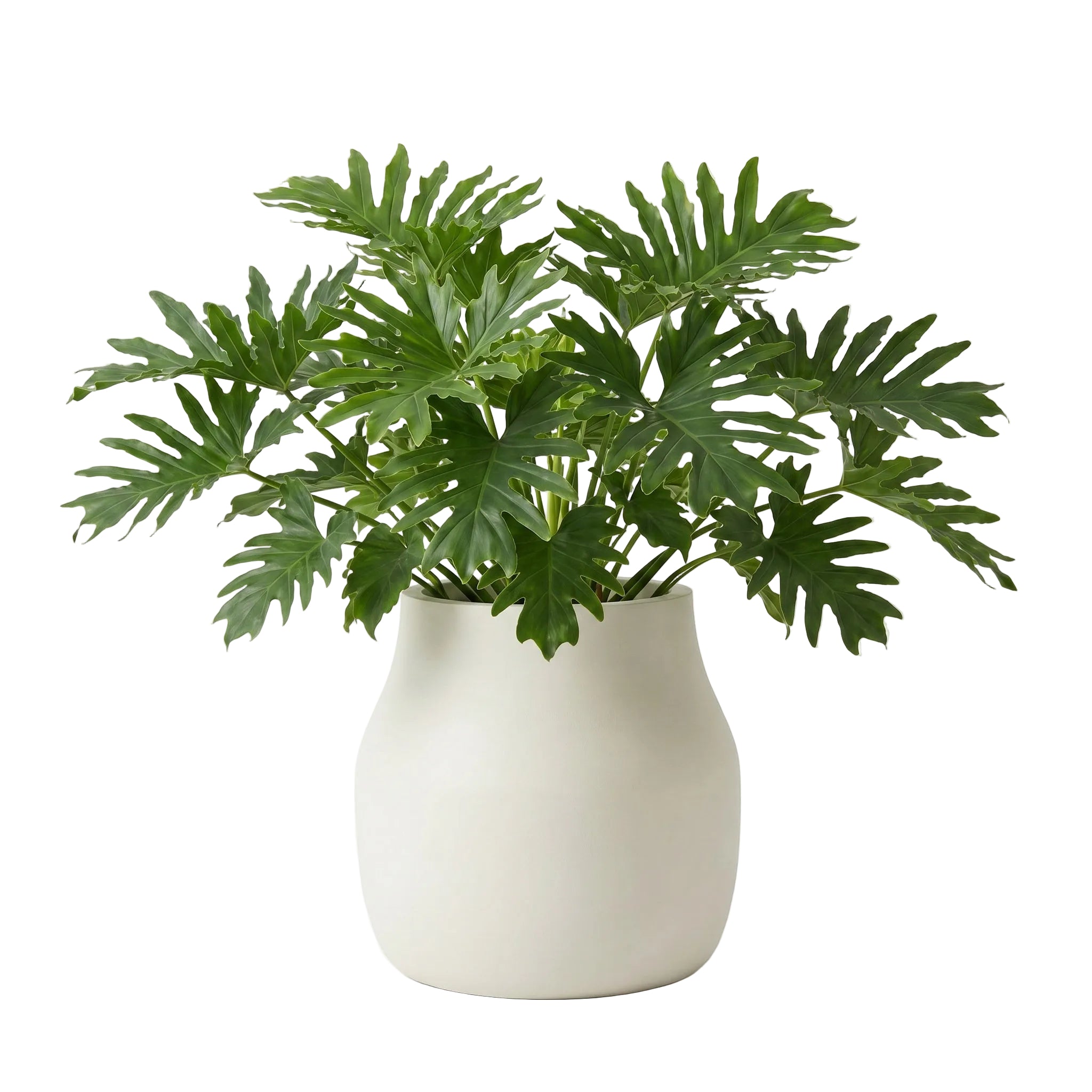 Caneco Planter - Natural Linen | PREORDER AUGUST