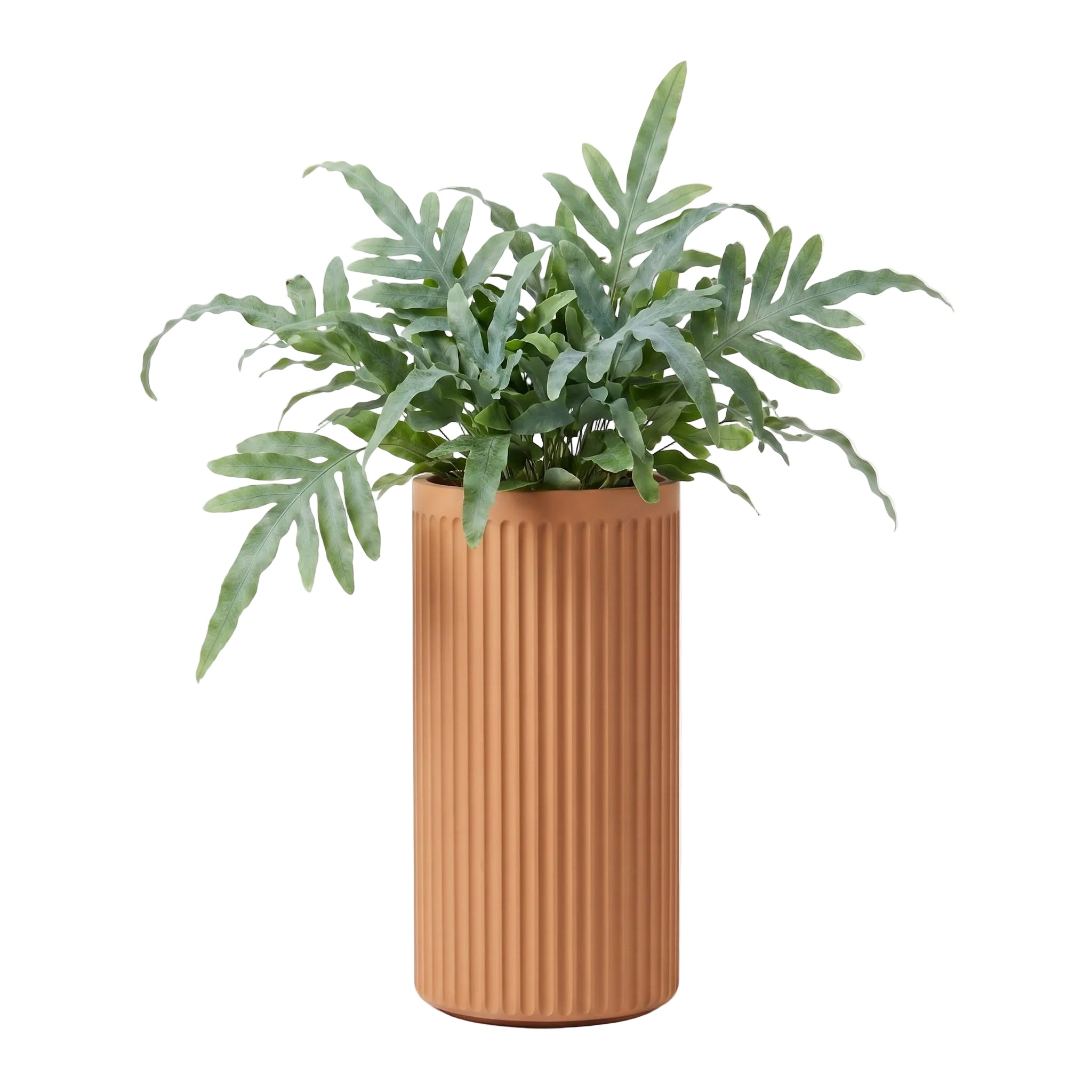 Doric Tall Planter - Natural Toasted Nut | PREORDER AUGUST