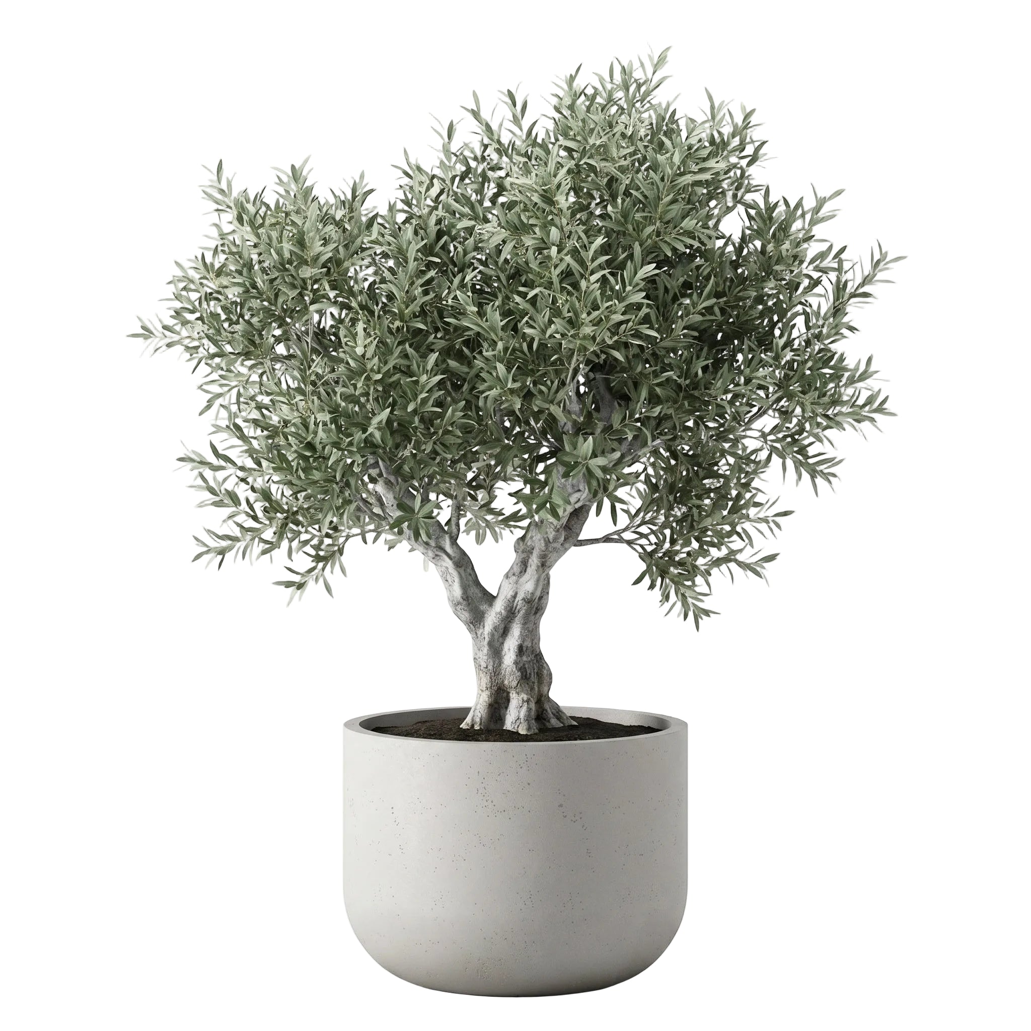 Rotunda Extra Large Planter - Urban Sandstone | PREORDER AUGUST