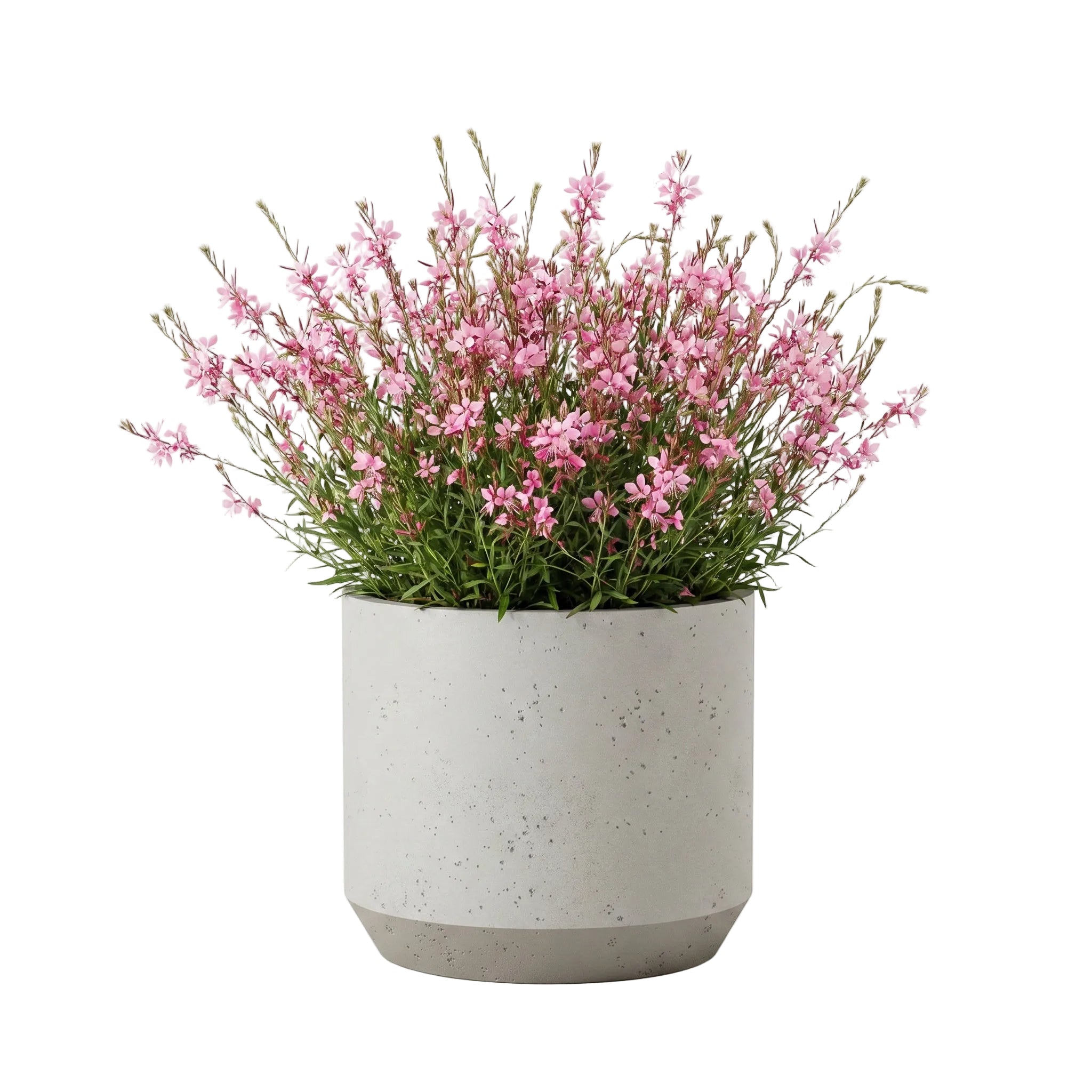 Rotunda Planter - Urban Sandstone | PREORDER AUGUST