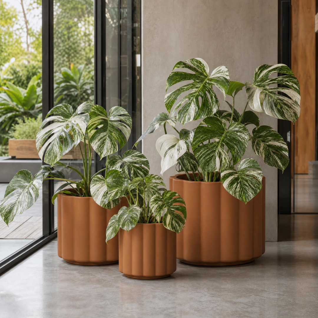 Vattra Low Planter - Natural Toasted Nut | PREORDER SEPTEMBER