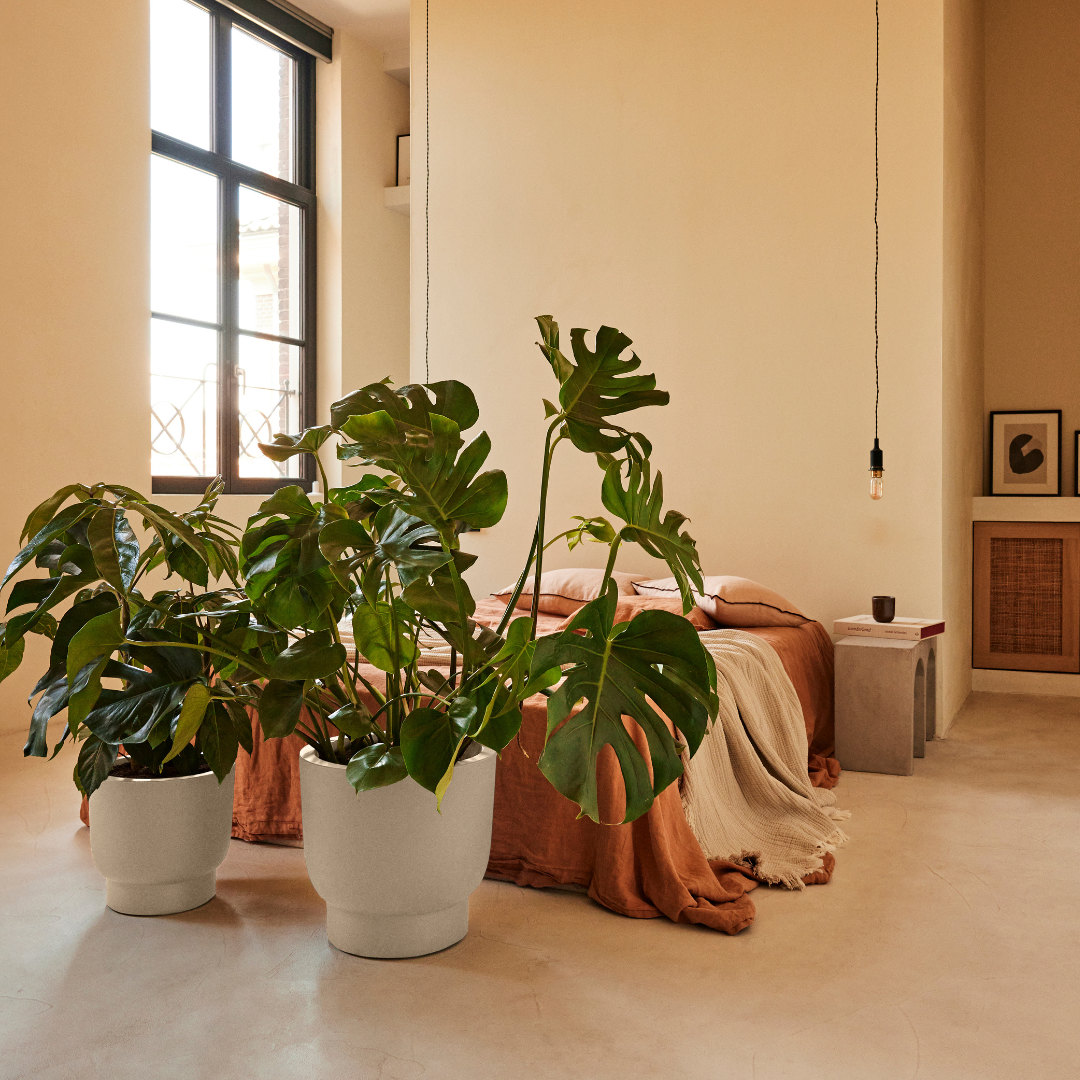 Amber Grail Planter - Linen White | PREORDER OCTOBER