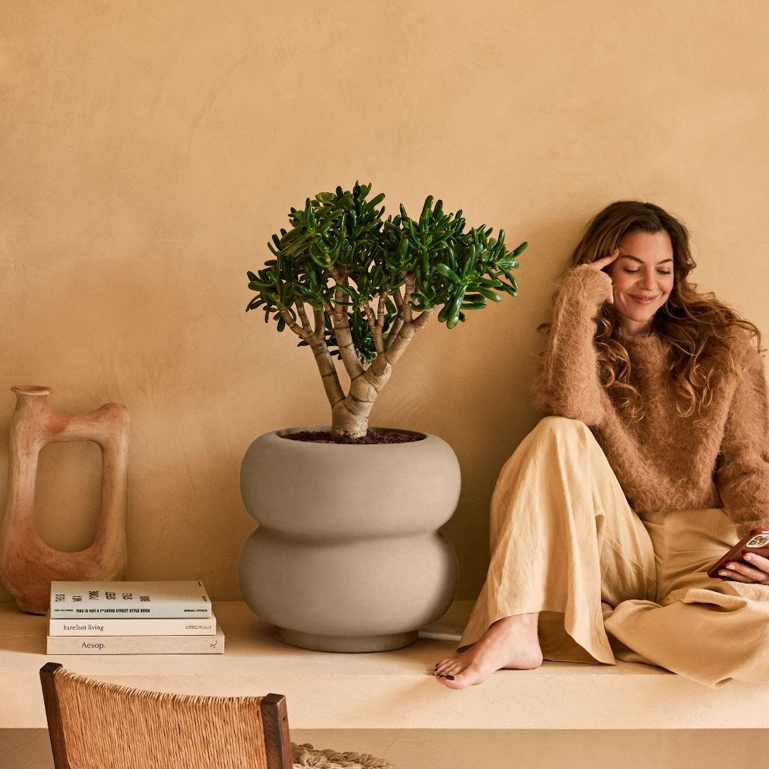 Amber Roll Planter - Balanced Beige | PREORDER OCTOBER