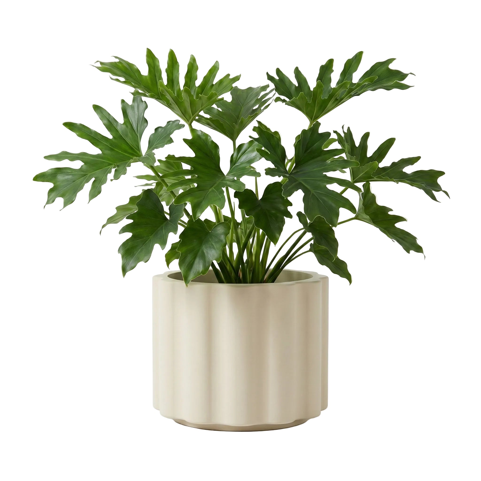 Vattra Low Planter - Natural Linen | PREORDER AUGUST