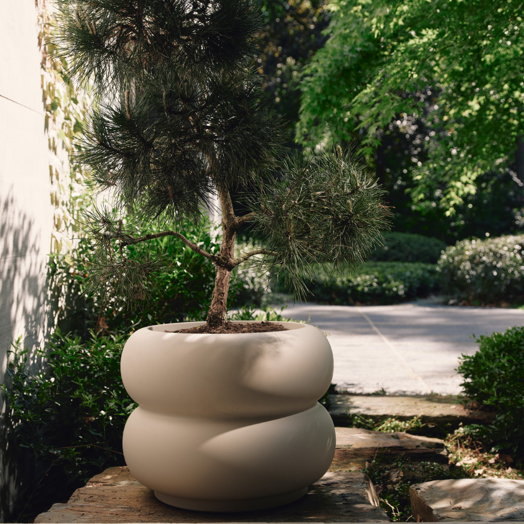 Amber Roll Planter - Balanced Beige | PREORDER OCTOBER