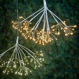 Hanging Dandelion Lights