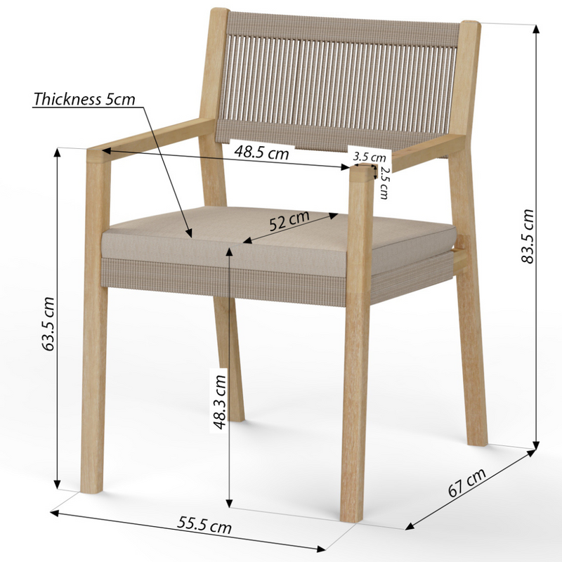 SET OF 2: TUCSON DINING CHAIRS | PREORDER NOVEMBER