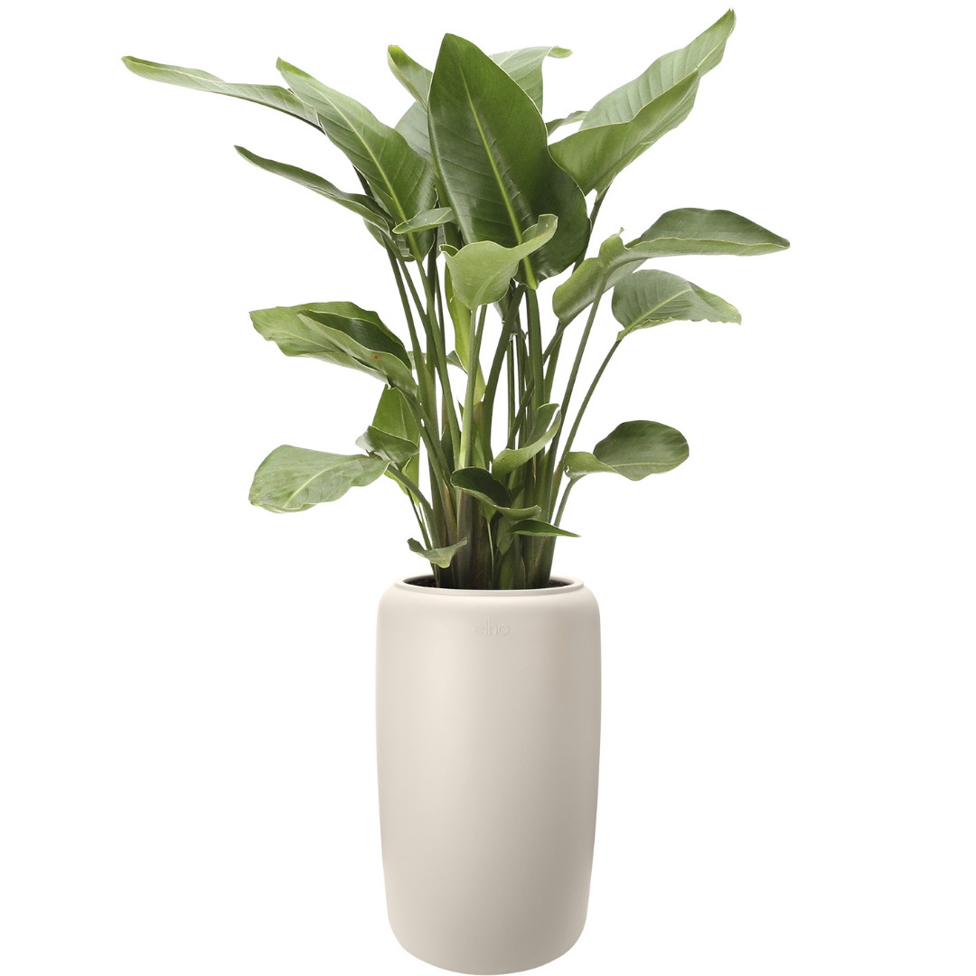 Amber Beads Planter - Linen White | PREORDER OCTOBER