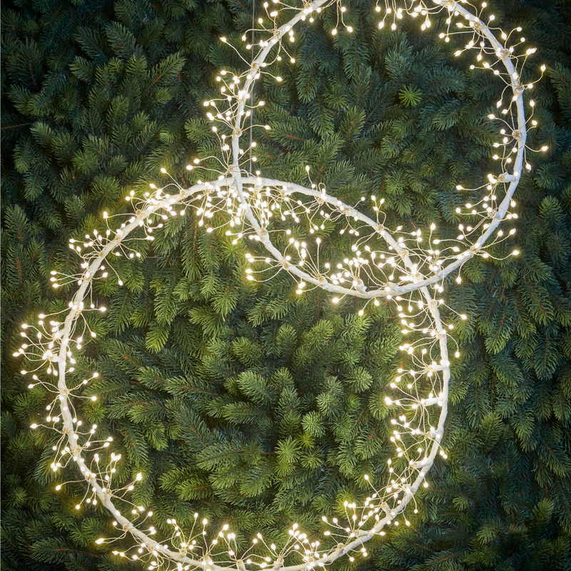 Dandelion Wreath