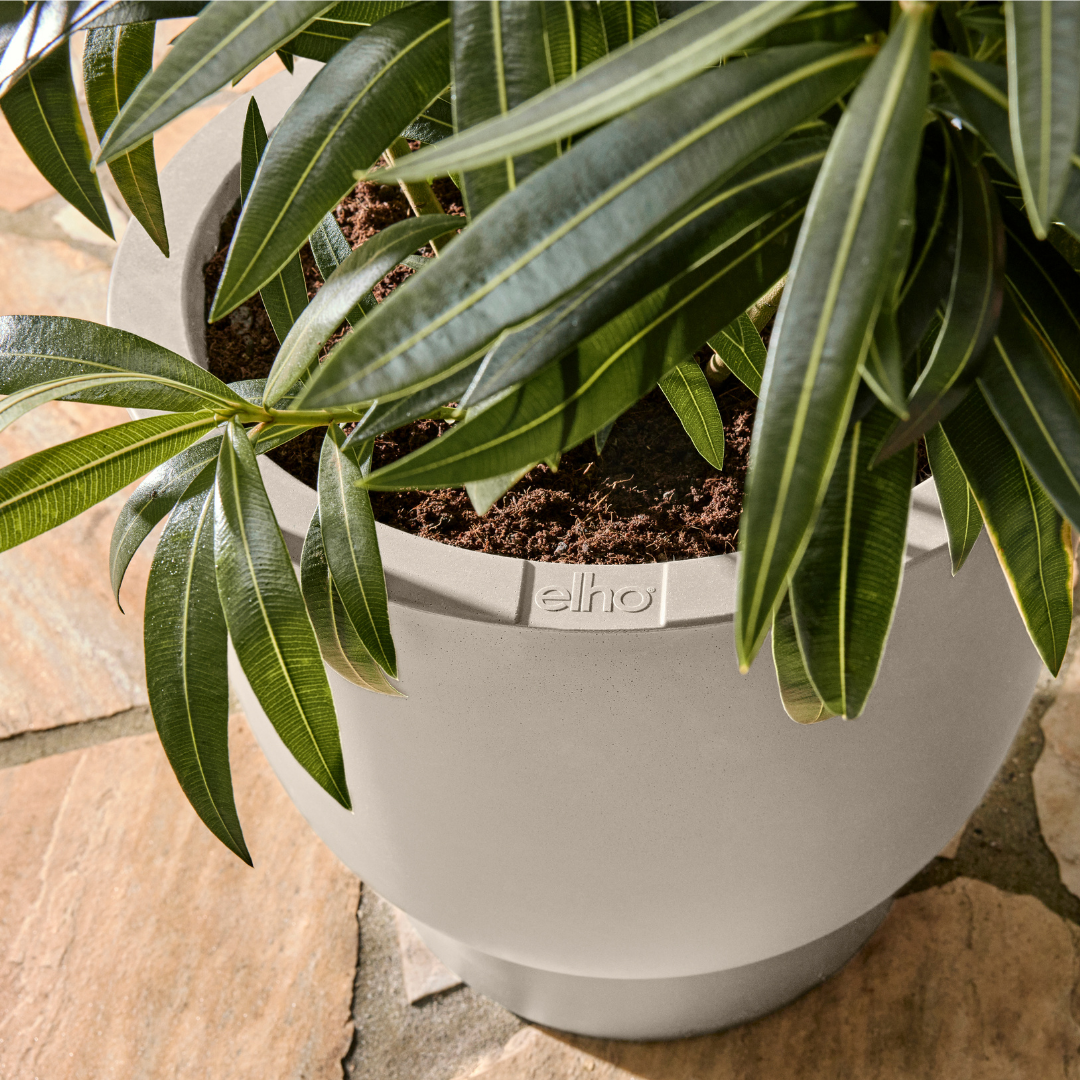Amber Grail Planter - Linen White | PREORDER OCTOBER