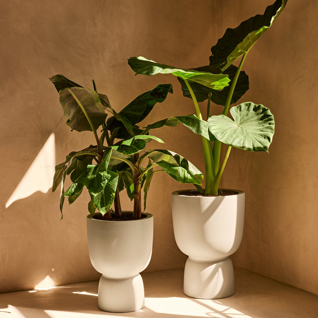 Amber Coupe Planter - Linen White | PREORDER OCTOBER