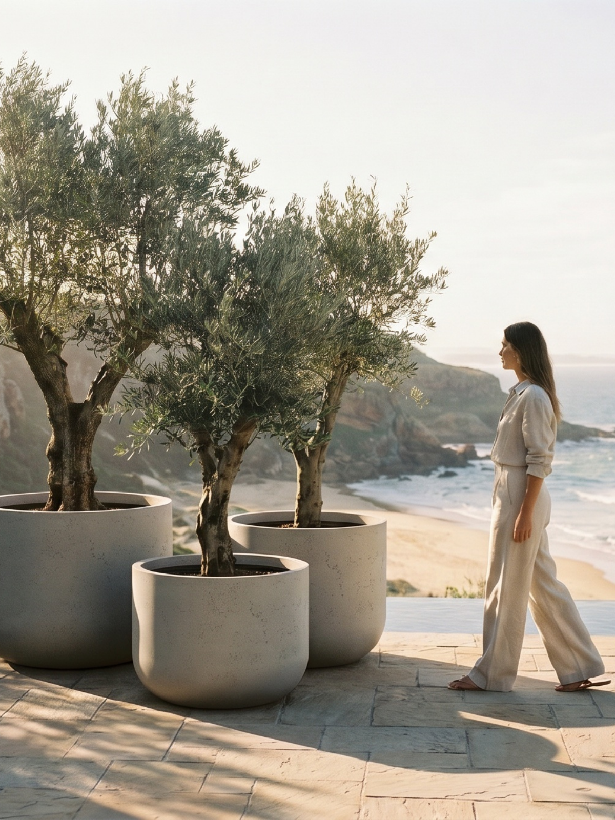 Large outdoor planters with olive trees arranged on a premium lodge-style terrace