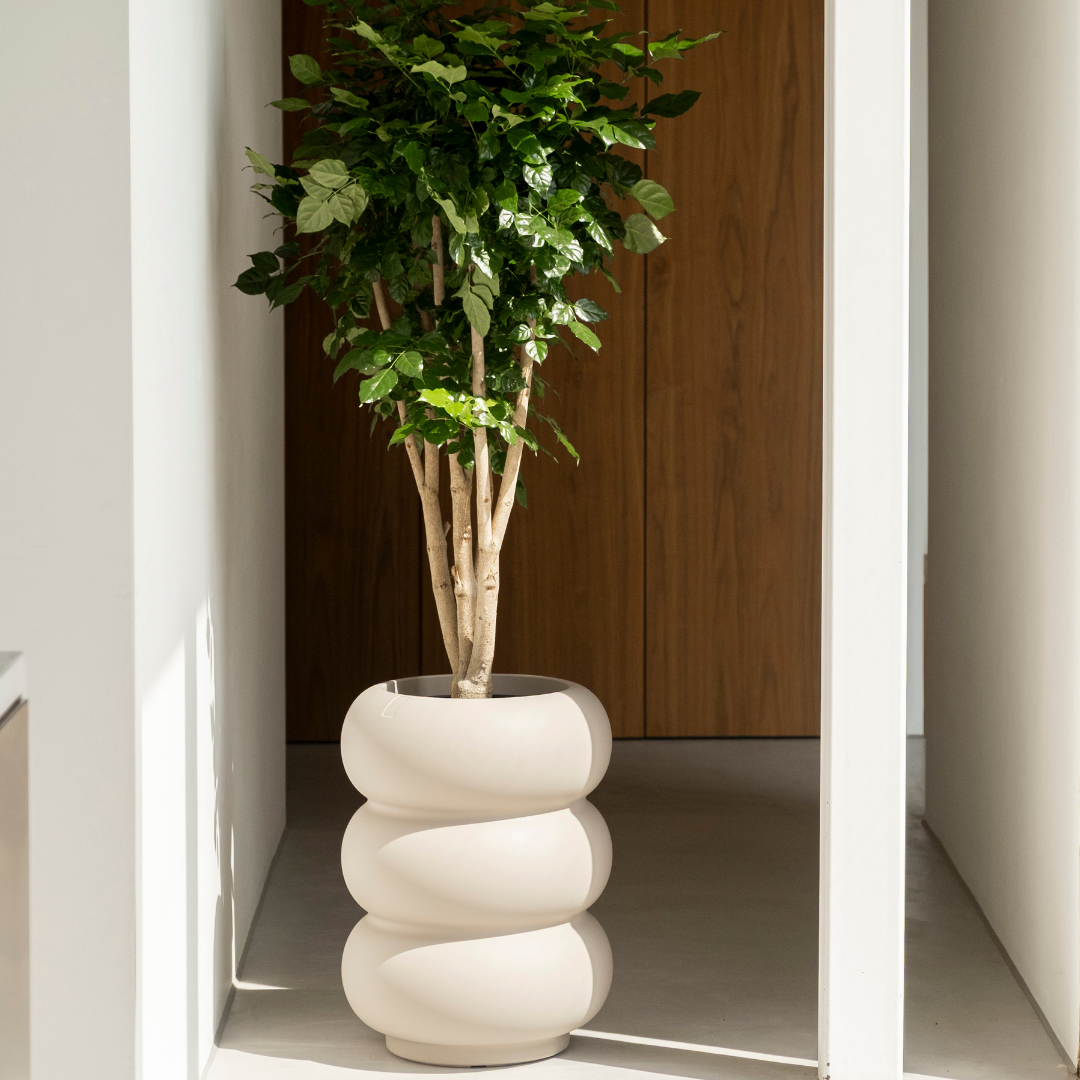Amber Roll Planter - Linen White | PREORDER OCTOBER