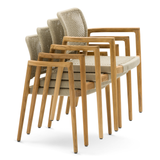 Tolo Teak Dining Chair (Set of 2)
