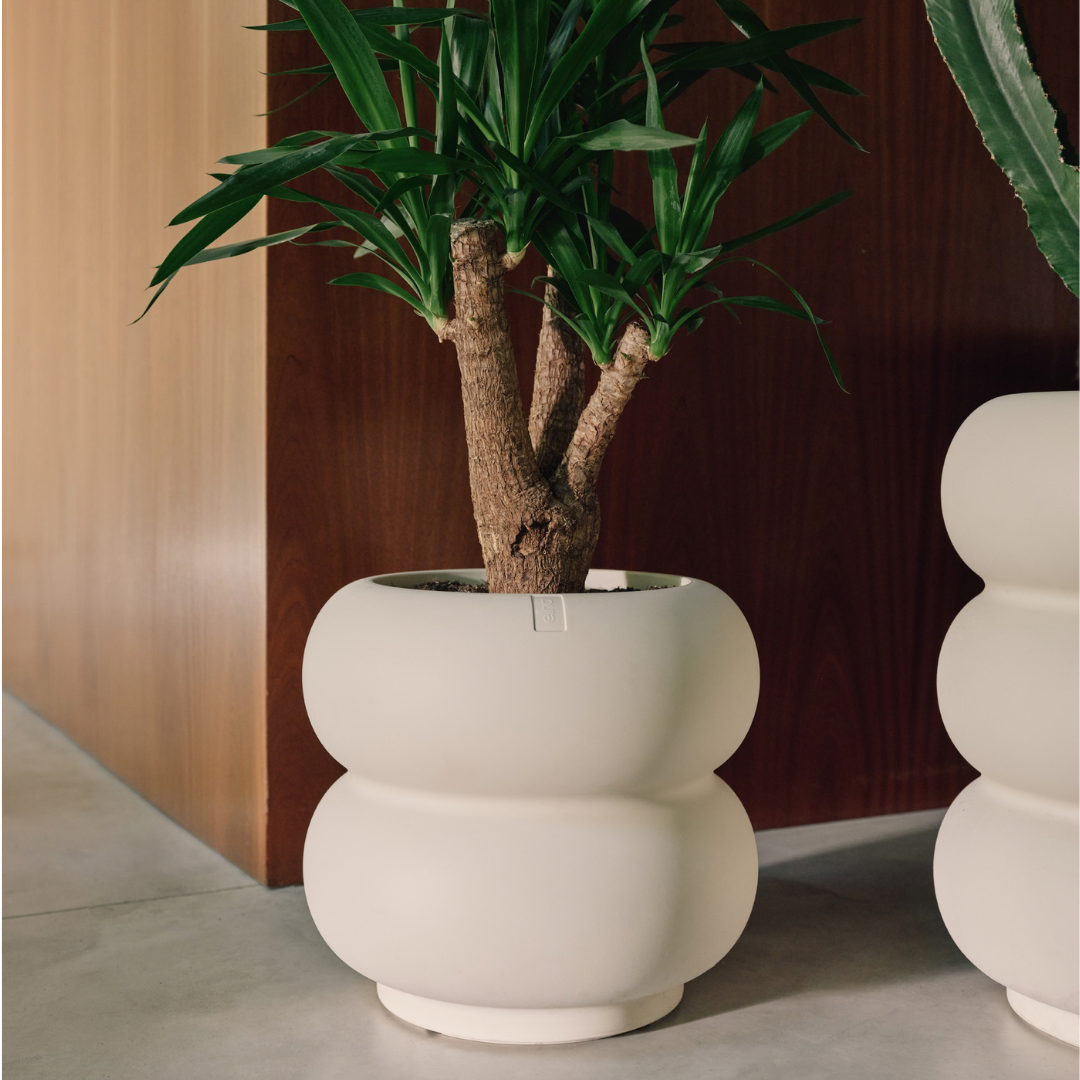 Amber Roll Planter - Linen White | PREORDER OCTOBER
