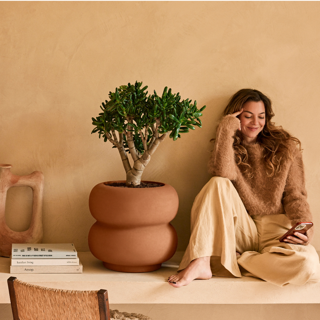 Amber Roll Planter - Caramel | PREORDER OCTOBER