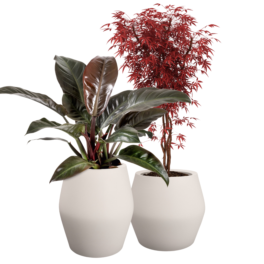 June Split Planter - Linen White | PREORDER OCTOBER