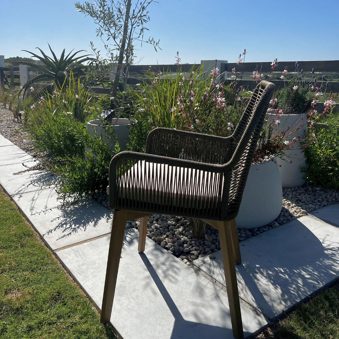 Padua Outdoor Dining Chair - Olive