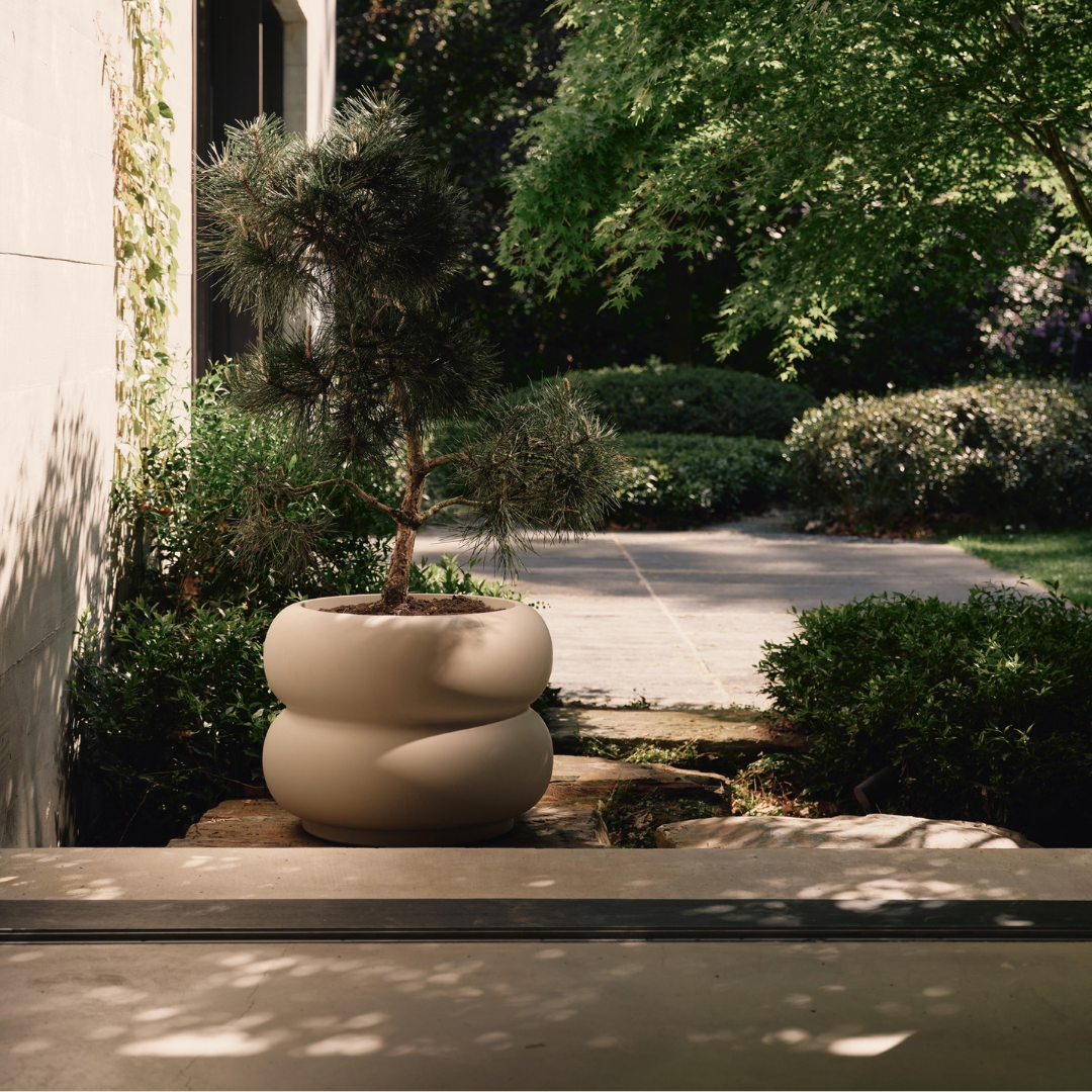 Amber Roll Planter - Balanced Beige | PREORDER OCTOBER