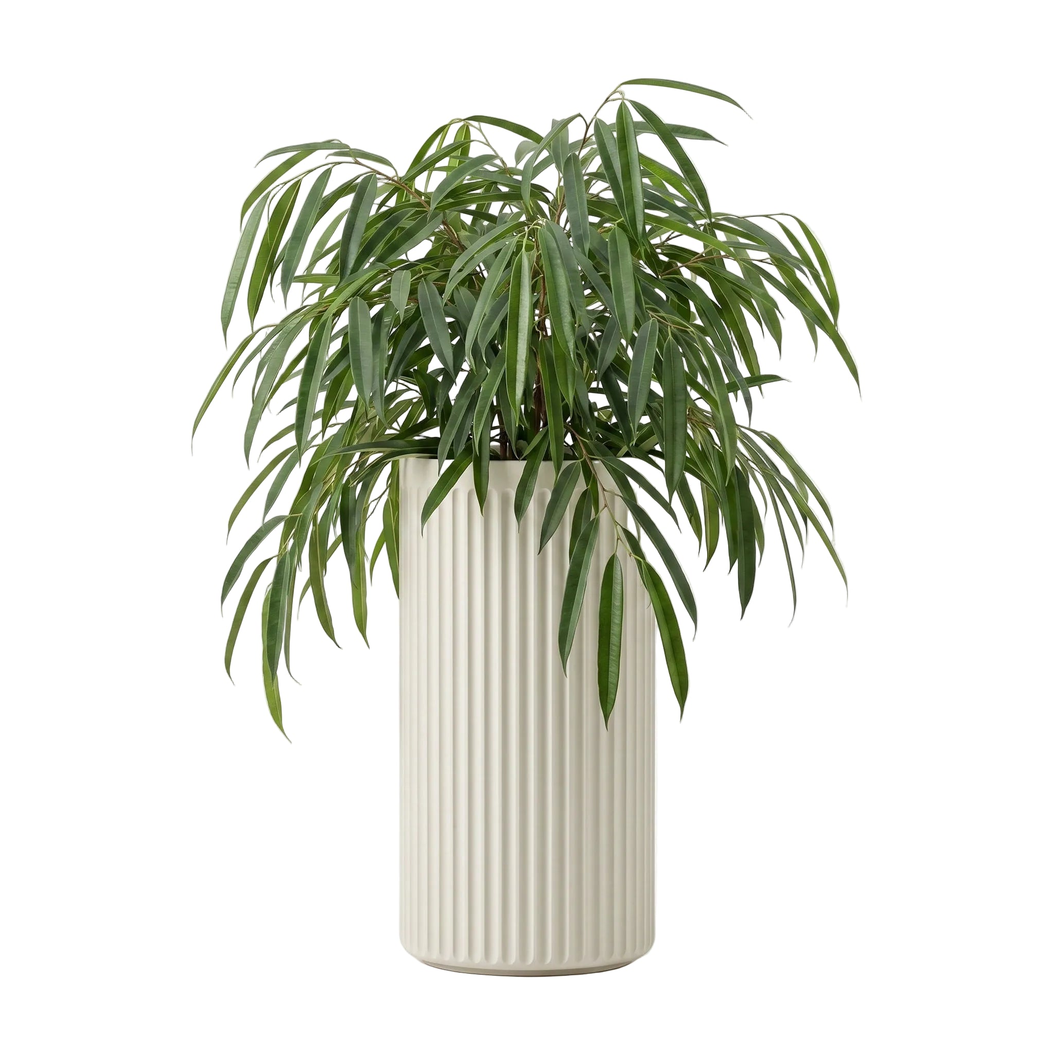 Doric Tall Planter - Natural Linen | PREORDER AUGUST