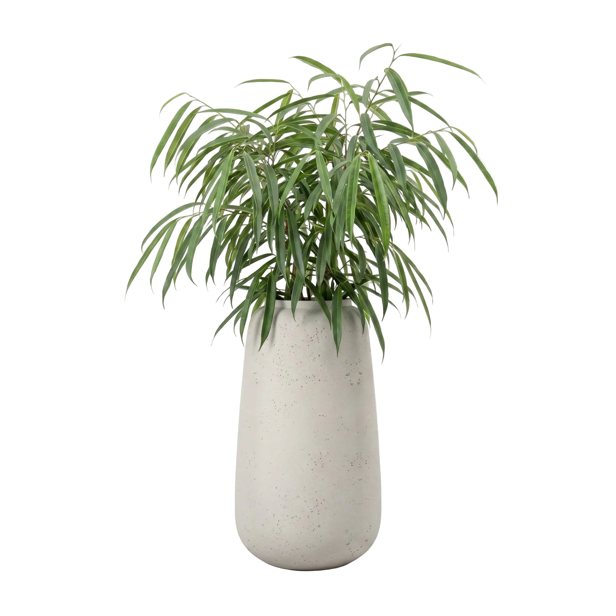 Florero Planter - Urban Sandstone | PREORDER AUGUST