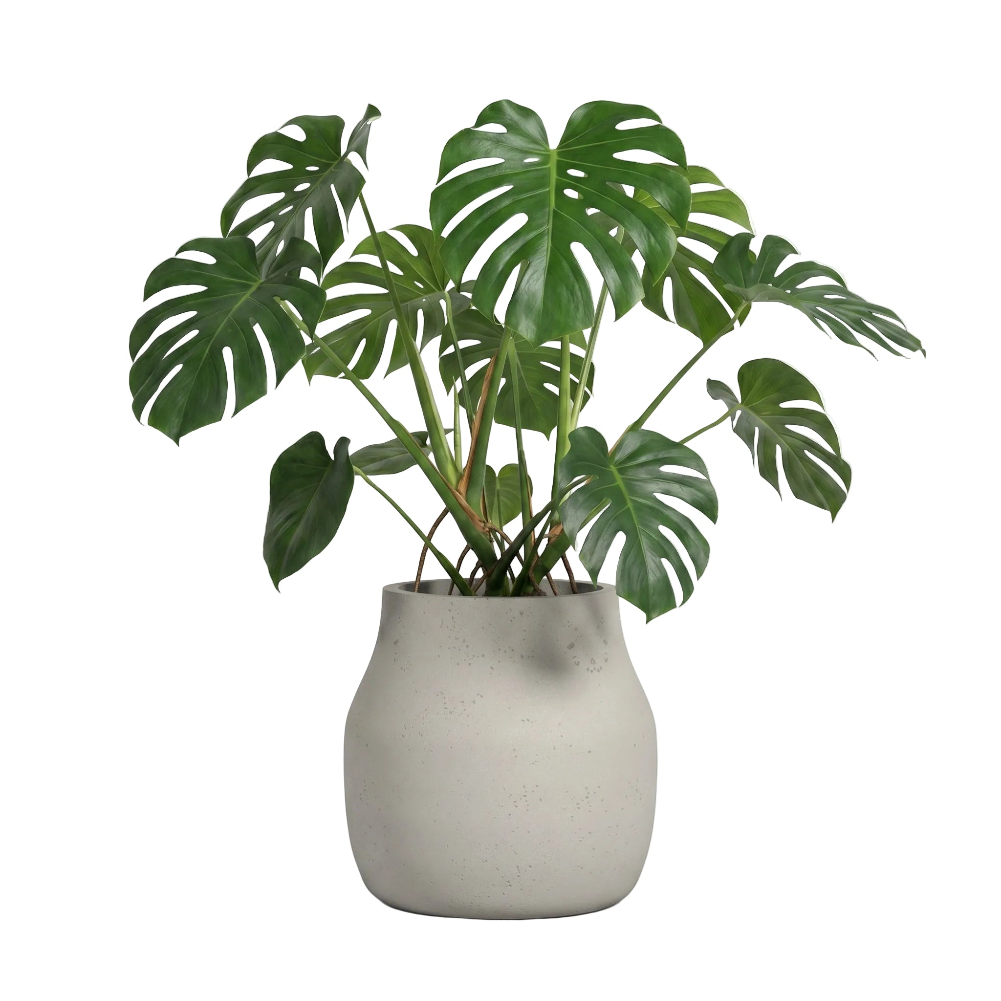 Caneco Planter - Urban Sandstone | PREORDER AUGUST