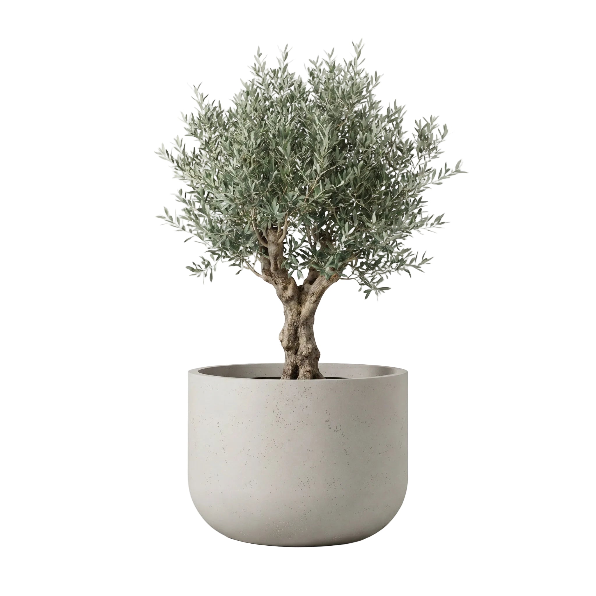 Rotunda Extra Large Planter - Urban Sandstone | PREORDER SEPTEMBER