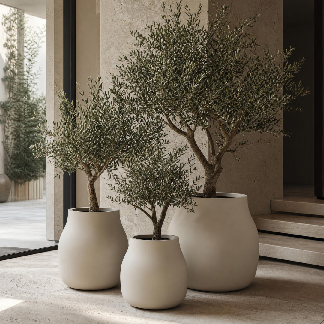 Caneco Planter - Natural Linen | PREORDER AUGUST