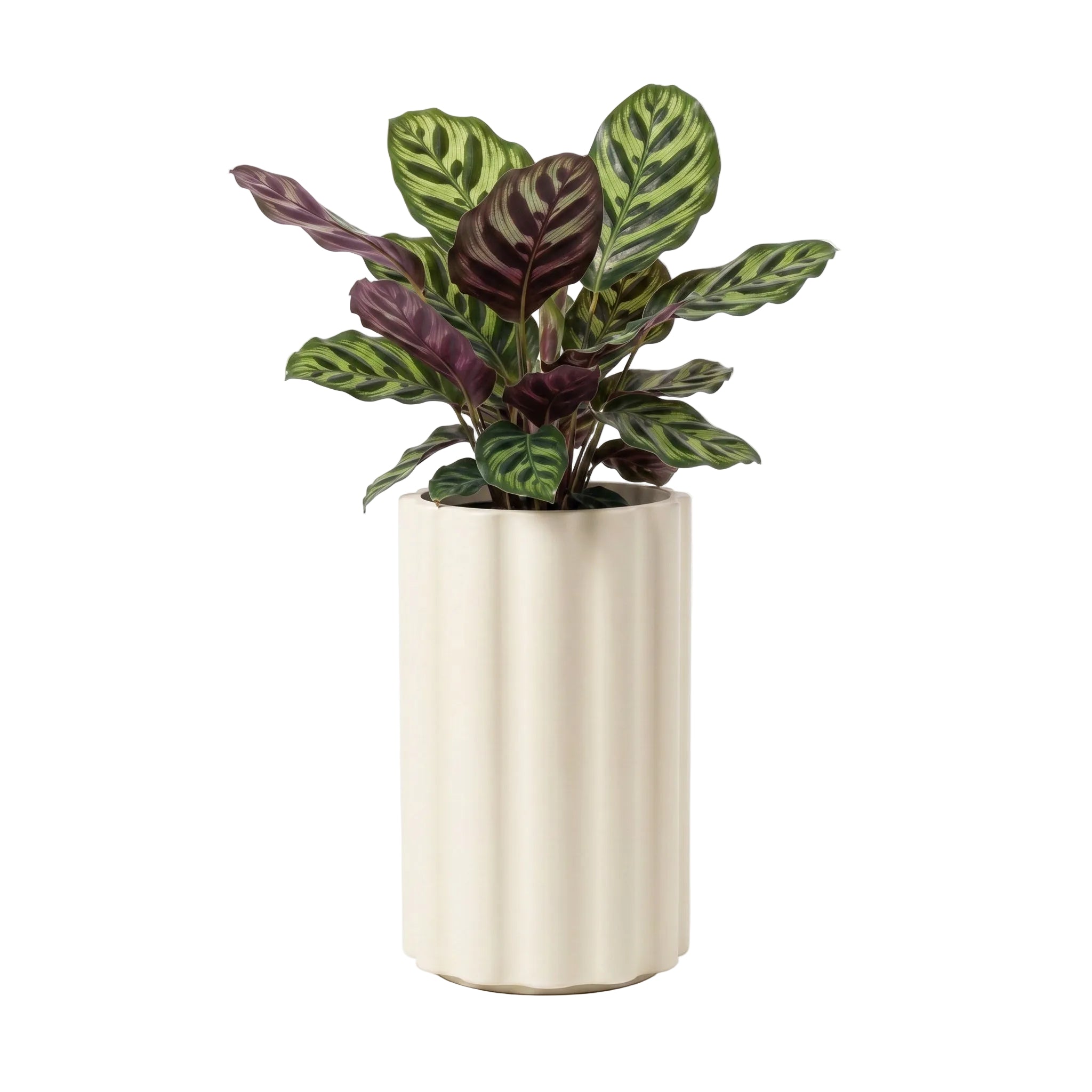 Vattra Tall Planter - Natural Linen | PREORDER AUGUST