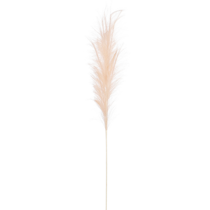 Christmas Tree Pick: Plume Grass