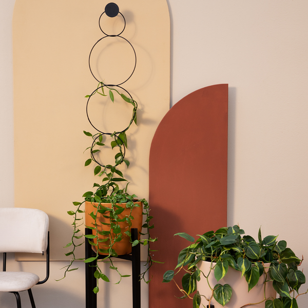 Plant Support
