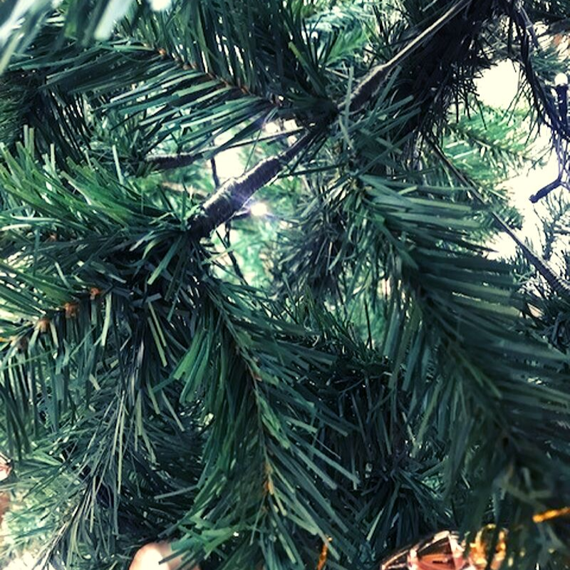 BALSAM FIR: 180CM CHRISTMAS TREE