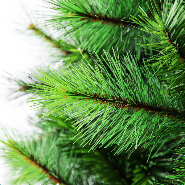 SILVERTIP FIR: 210CM CHRISTMAS TREE
