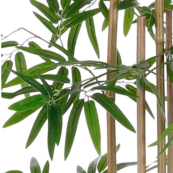 Bamboo 150 x 30 cm