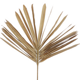 Fan Palm Leaf - Brown