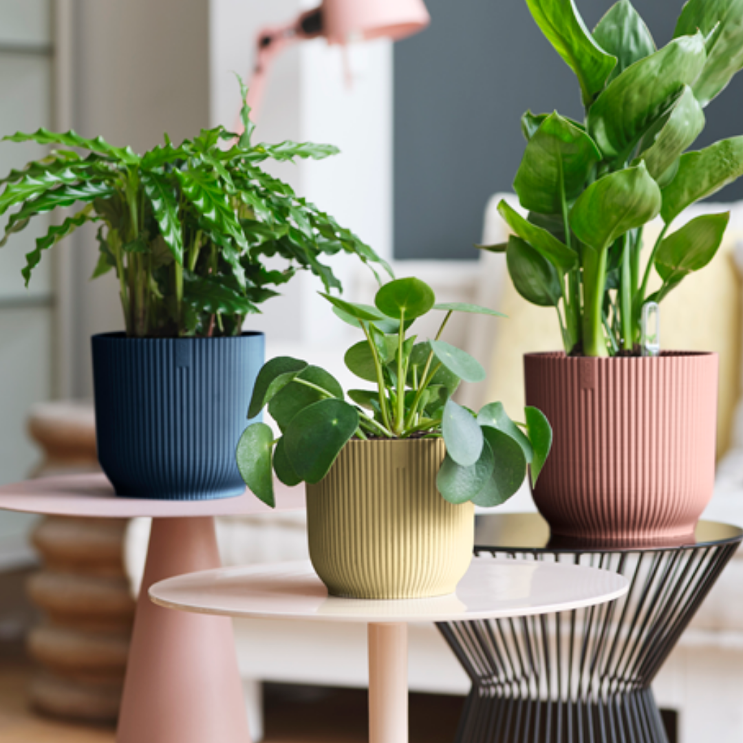 Vibes indoor planters: modern, upmarket planters by MON – MØN exteriors