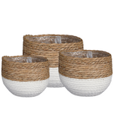 Jorck Basket White