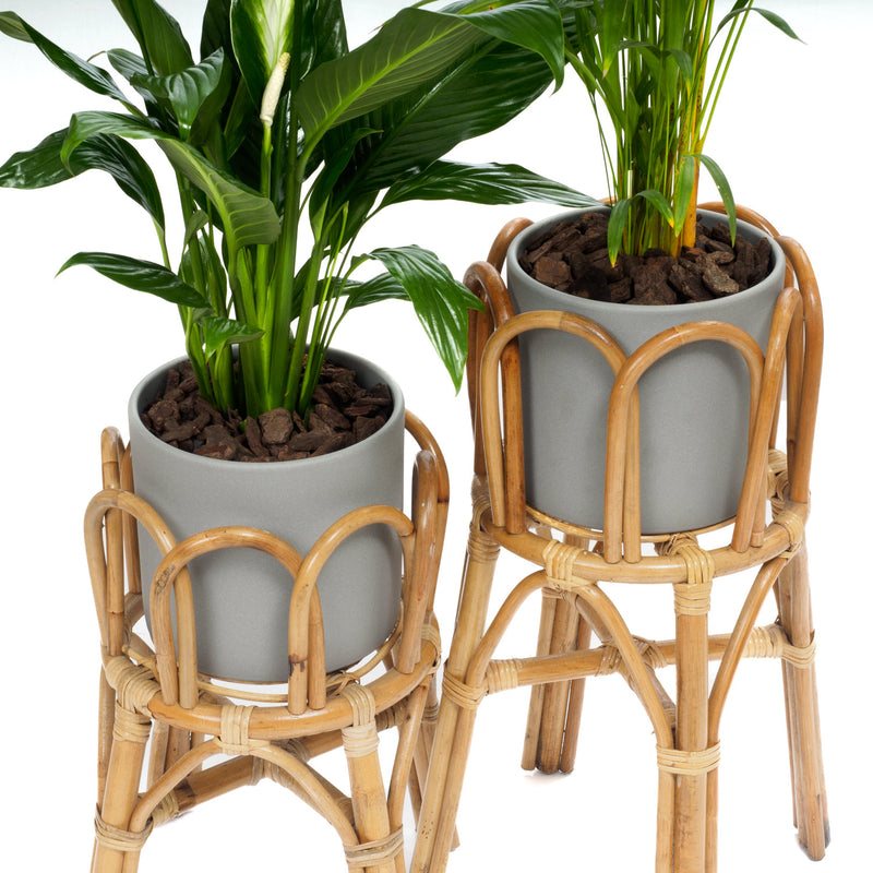 Sherbrooke Plant Stands: Set of 2
