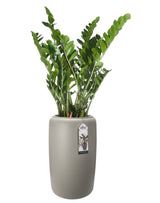 Pure Beads Planters