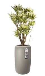 Pure Beads Planters